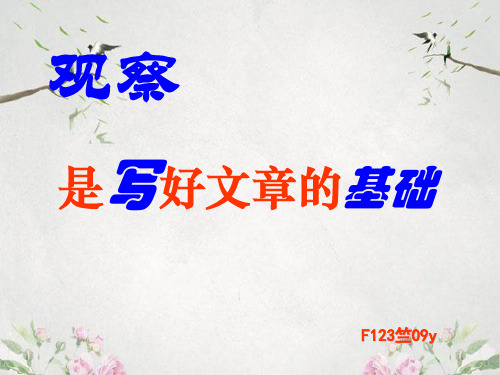 作文-初中作文指导:观察是写好文章的基础ppt优秀PPT