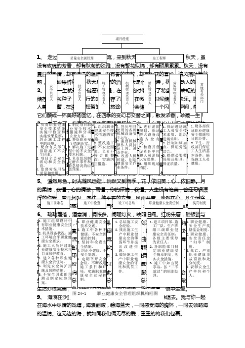 图24-1 职业健康安全管理组织机构框图.doc