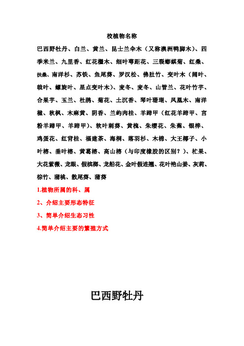 校园植物名称
