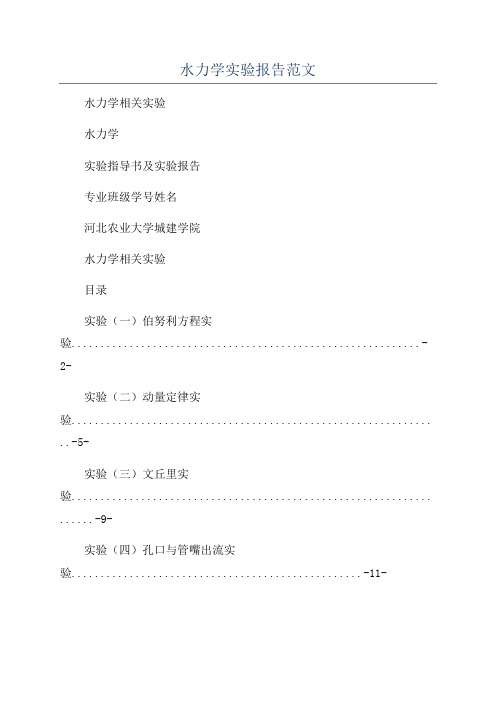 水力学实验报告范文