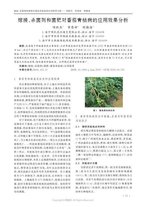 嫁接、杀菌剂和菌肥对番茄青枯病的应用效果分析