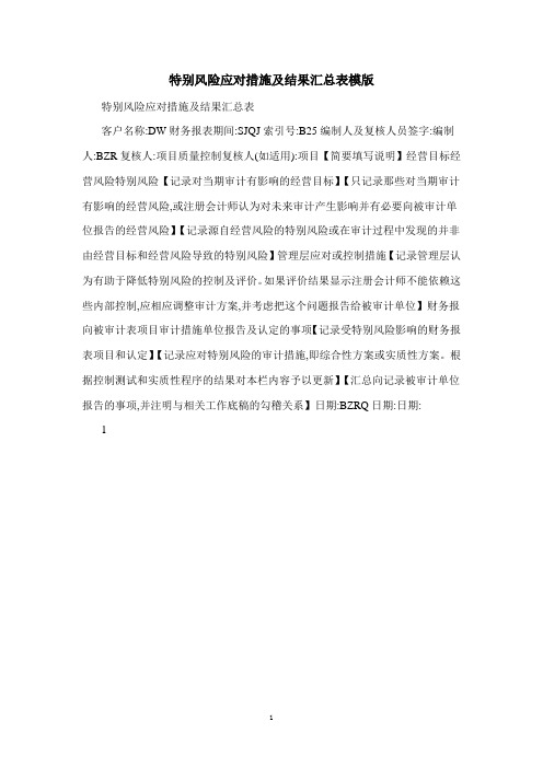 特别风险应对措施及结果汇总表模版