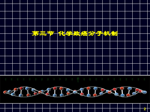 卫生毒理学第八章化学致癌作用及其评价II课件