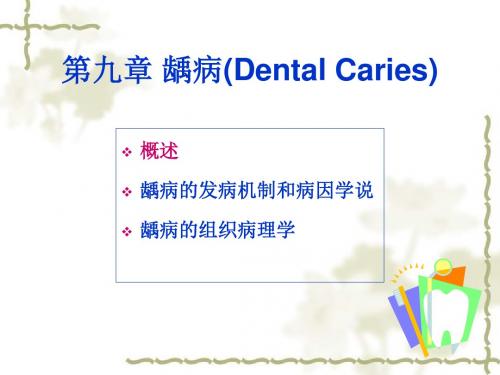 第九章 龋病(Dental Caries)课件