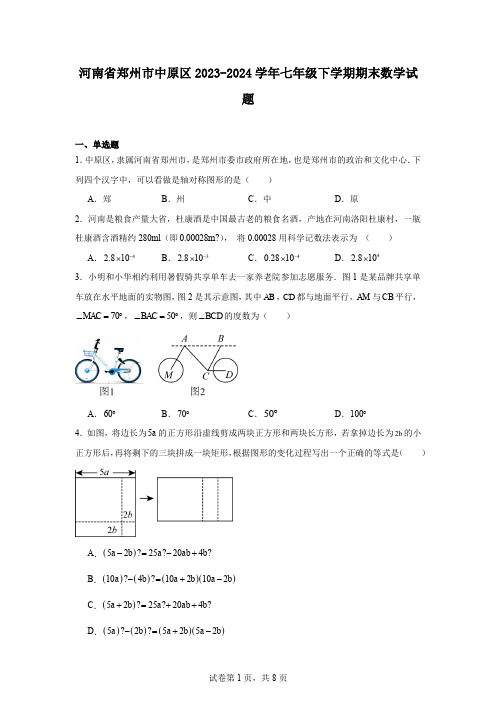 河南省郑州市中原区2023-2024学年七年级下学期期末数学试题