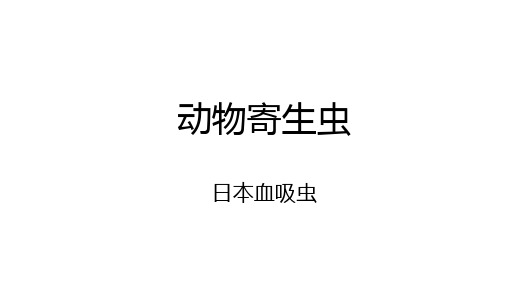 日本血吸虫课件(共34张PPT)《动物疫病防治》