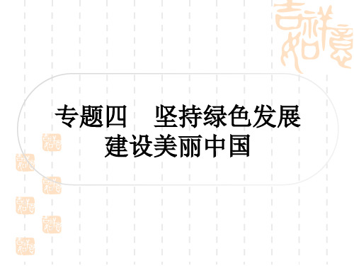 初中毕业道德与法治总复习精讲 第四篇 专题四 坚持绿色发展 建设美丽中国