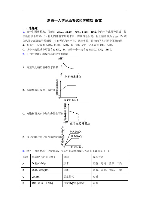 新高一入学分班考试化学模拟_图文