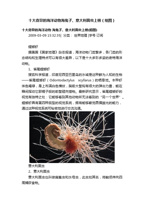 十大奇异的海洋动物海兔子、意大利面虫上榜（组图）