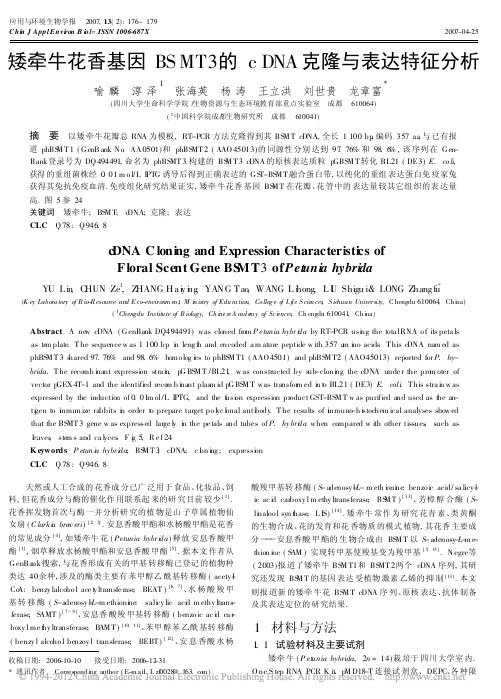 矮牵牛花香基因BSMT3的cDNA克隆与表达特征分析