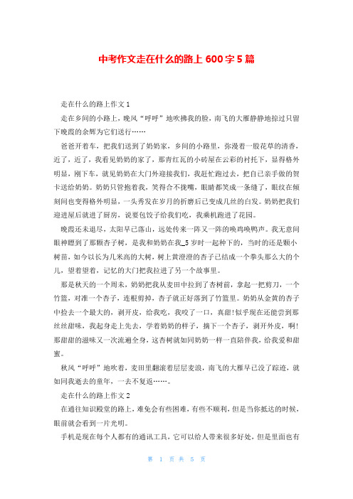 中考作文走在什么的路上600字5篇