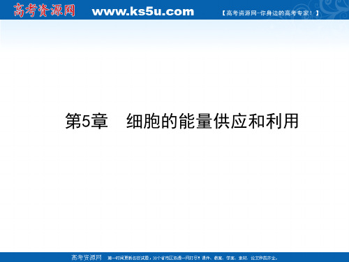 2011届生物高考一轮复习课件：必修1 第5章 第1-2节 细胞的能量供应和利用