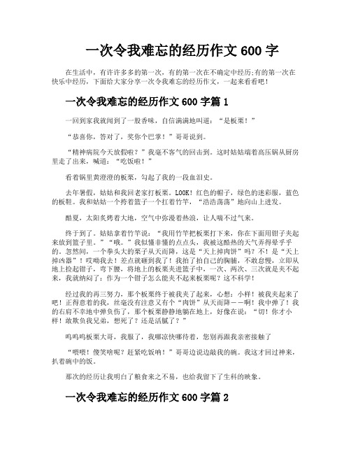 一次令我难忘的经历作文600字