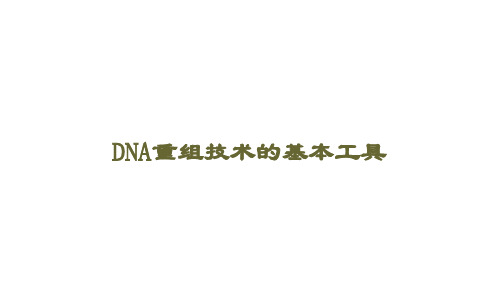 DNA重组技术的基本工具  课件