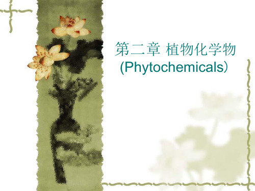 第二章 植物化学物(Phytochemicals)