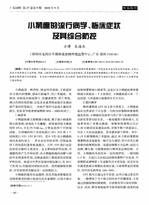 小鹅瘟的流行病学、临床症状及其综合防控