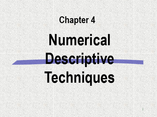 Numerical Descriptive Techniques