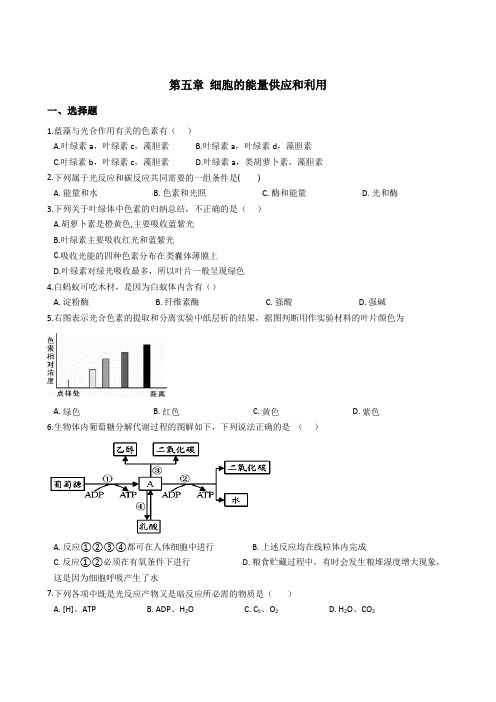 人教版高中生物必修1 第五章 细胞的能量供应和利用 单元测试及答案