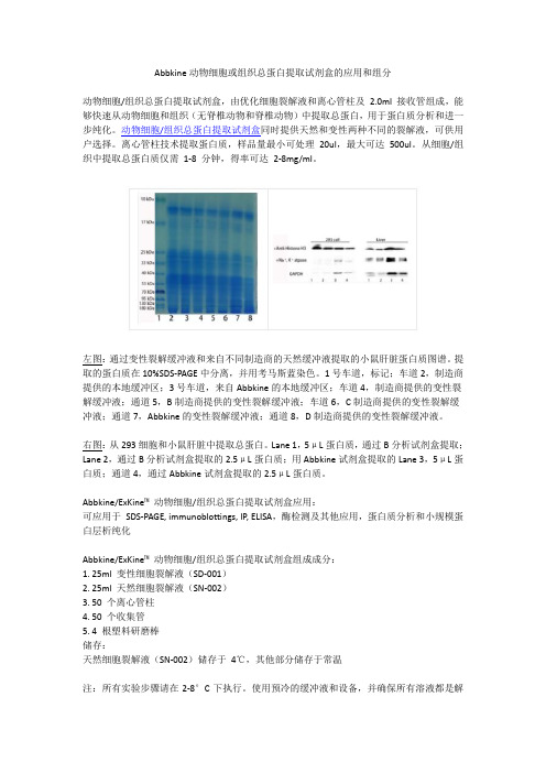 Abbkine动物细胞或组织总蛋白提取试剂盒的应用和组分