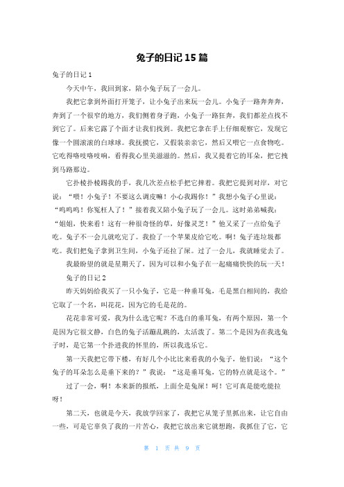 兔子的日记15篇