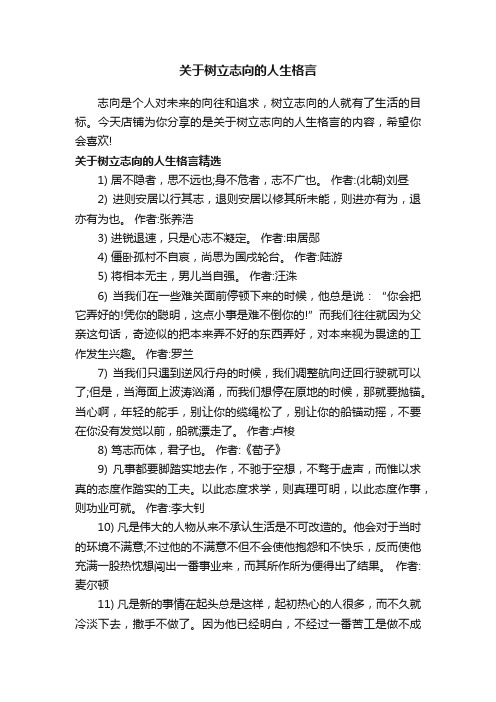 关于树立志向的人生格言