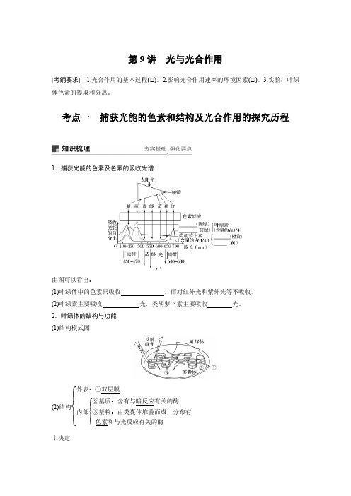 高考生物一轮第9讲 光与光合作用学生版
