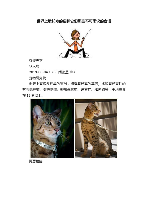 世界上最长寿的猫和它们那些不可思议的食谱