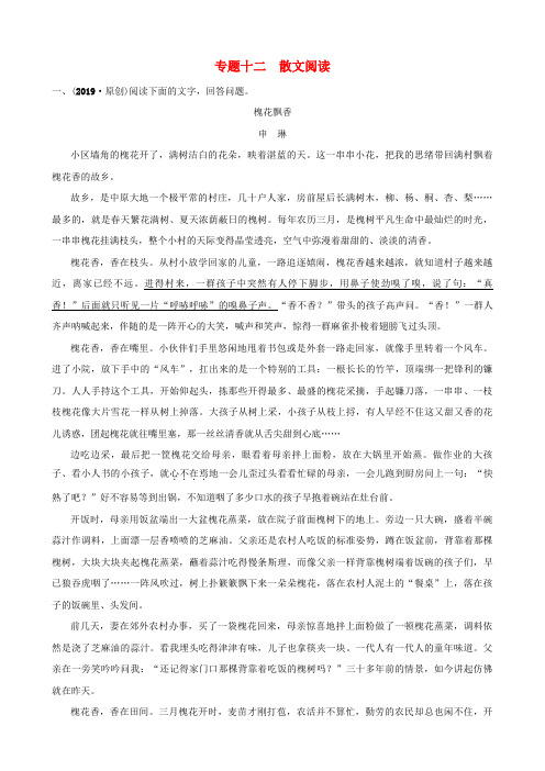 山东省临沂市2019年中考语文专题复习十二散文阅读练习