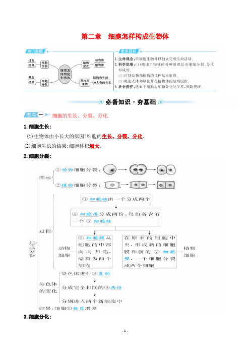 最新中考生物同步考点培优训练——第二单 第二章 细胞怎样构成生物体