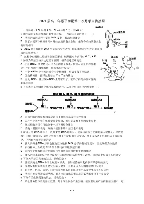 江西省宜春市上高二中2019-2020学年高二下学期第一次月考试题 生物 Word版含答案 