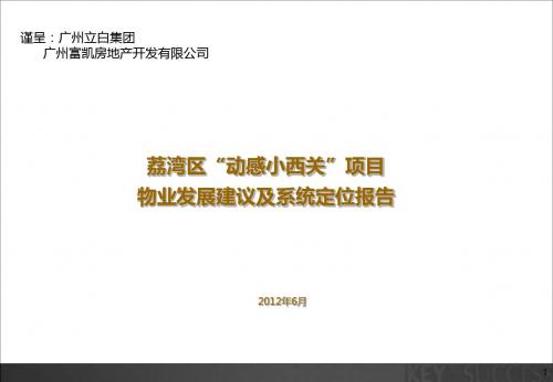 2019年6月广州荔湾区“动感小西关”项目物业发展建议及系统定位报告