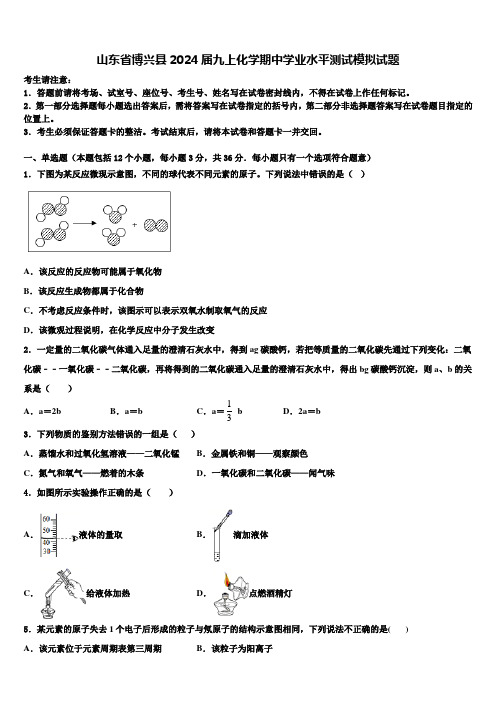 山东省博兴县2024届九上化学期中学业水平测试模拟试题含解析