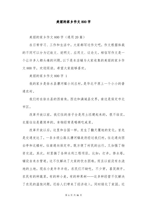 美丽的家乡作文800字