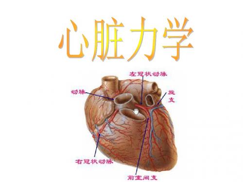 生物力学课程——心脏力学18 副本