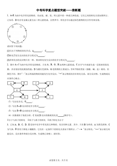 中考科学重点题型突破-推断题(含解析)