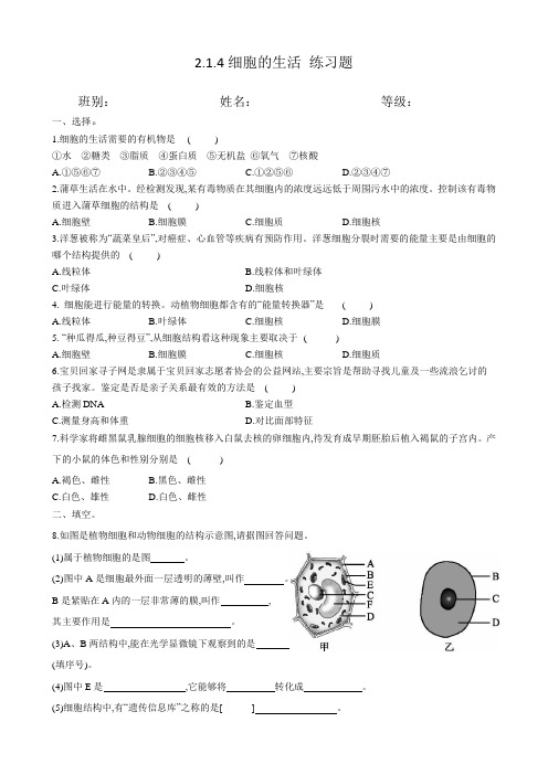 2023细胞的生活 练习题(有答案)