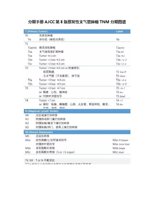 分期手册AJCC第8版原发性支气管肺癌TNM分期图谱