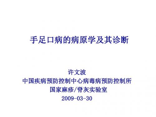 论手足口病的病原学及其诊断(ppt 39页)