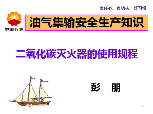 二氧化碳灭火器的使用规程PPT课件