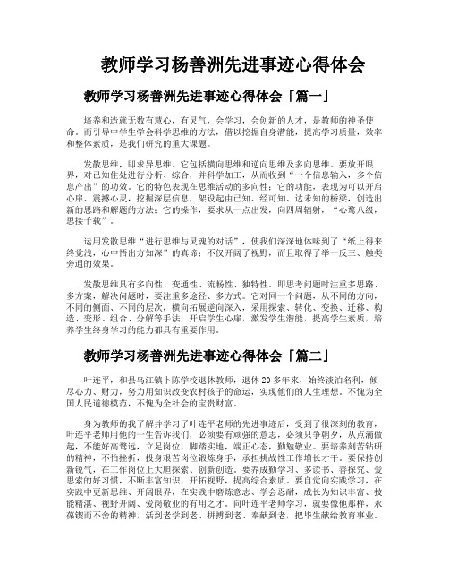 教师学习杨善洲先进事迹心得体会