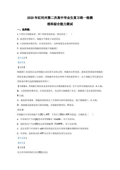 云南省红河自治州2020届高三第二次复习统一检测生物试题 Word版含解析