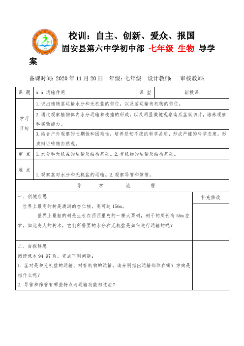 第五章第五节 运输作用 导学案  北师大版生物七年级上册