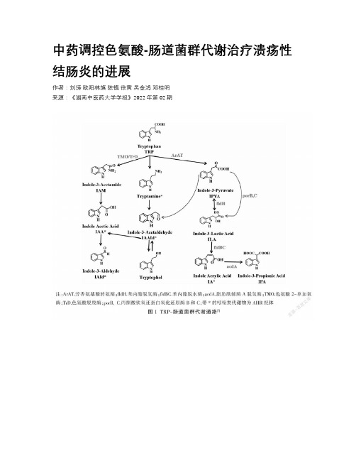 中药调控色氨酸-肠道菌群代谢治疗溃疡性结肠炎的进展