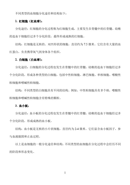 不同类型血细胞的分化途径以及其结构