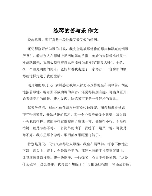 练琴的苦与乐 作文