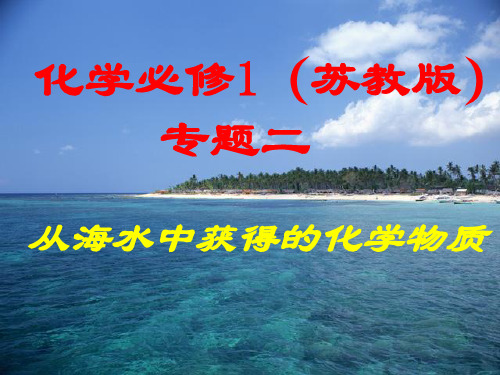 氯气产生的原理.ppt