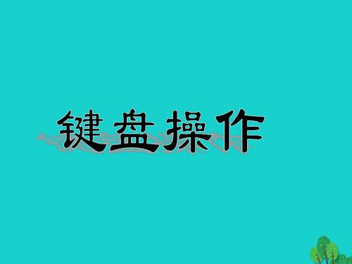 北师大附中八年级信息技术上册第2章管理计算机键盘操作课件苏教版