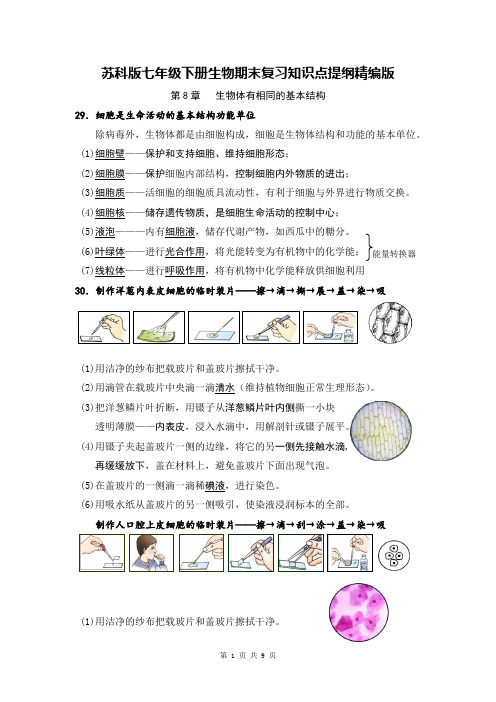 【直接打印】苏科版七年级下册生物期末复习知识点提纲精编版(实用!)