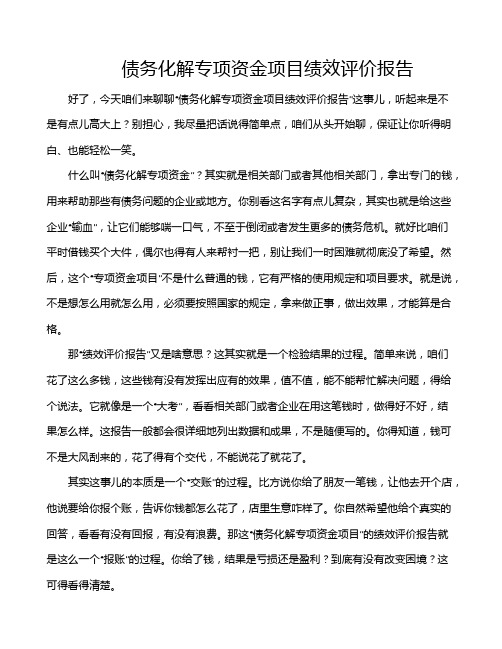 债务化解专项资金项目绩效评价报告