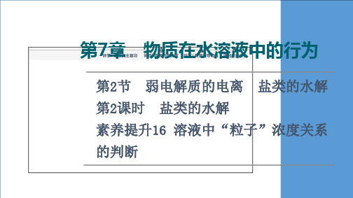 第章第节第课时素养提升溶液中“粒子”浓度关系的判断课件高考化学一轮复习